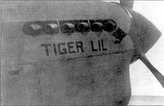 Curtiss P-40 часть 4 - pic_6.jpg