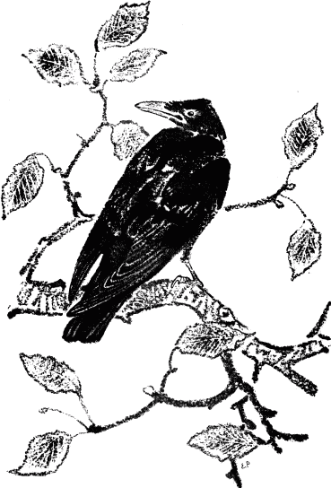 Говорящий грач (сборник рассказов) - i_008.png