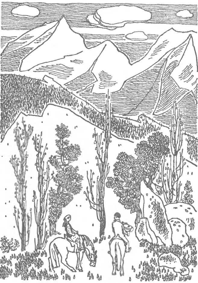 Скворец №17 (рассказы) - i_001.jpg