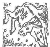 Скворец №17 (рассказы) - unused_image18.jpg