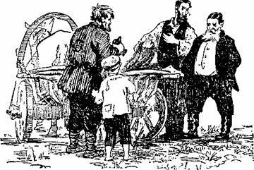 О чём шепчут колосья - i_006.jpg