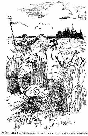 О чём шепчут колосья - i_009.jpg