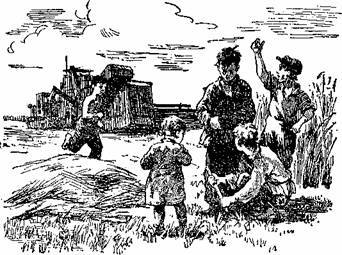 О чём шепчут колосья - i_014.jpg