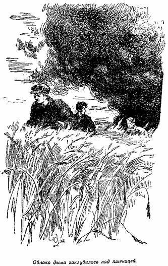 О чём шепчут колосья - i_015.jpg