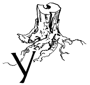 Повесть о славных делах Волли Крууса и его верных друзей - i_019.png