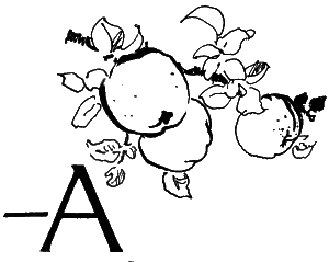 Повесть о славных делах Волли Крууса и его верных друзей - i_021.png