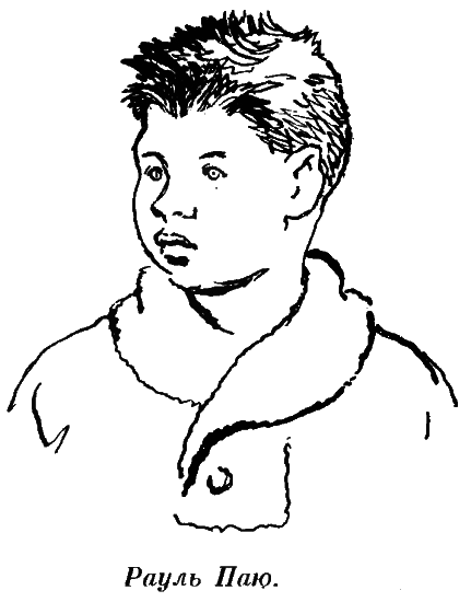 Повесть о славных делах Волли Крууса и его верных друзей - i_027.png