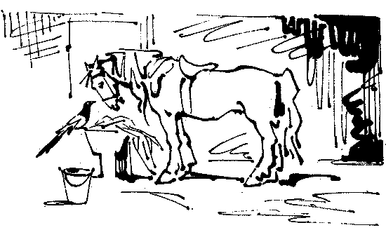 Три сказки - k_15pr.png