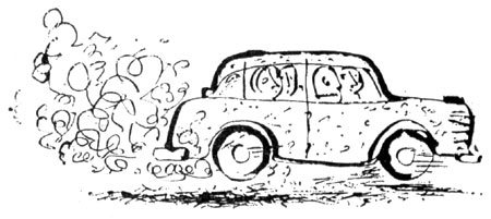 Солнце в декабре - i_004.jpg