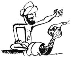 Солнце в декабре - i_030.jpg