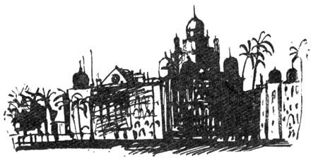 Солнце в декабре - i_035.jpg