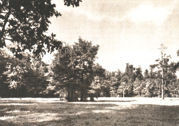 В садах Лицея. На брегах Невы - i_036.jpg