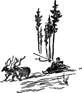 Хмурый Вангур - img_11.png