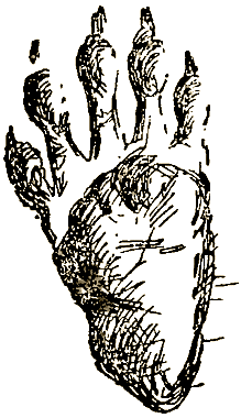 Маленькие дикари (Рисунки автора) - i_016.png