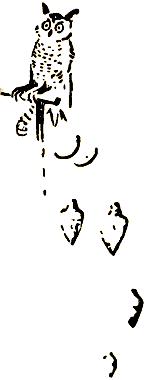 Маленькие дикари (Рисунки автора) - i_022.png