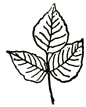 Маленькие дикари (Рисунки автора) - i_023.png