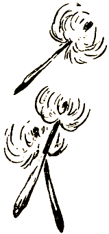 Маленькие дикари (Рисунки автора) - i_026.png