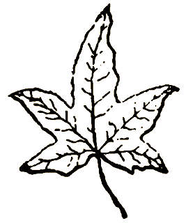 Маленькие дикари (Рисунки автора) - i_052.png