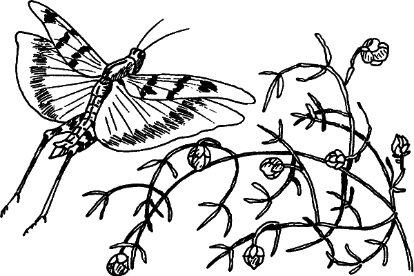 Загадки остались - i_004.png