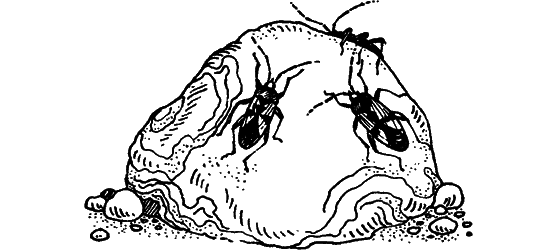 Загадки остались - i_007.png