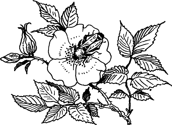 Загадки остались - i_008.png