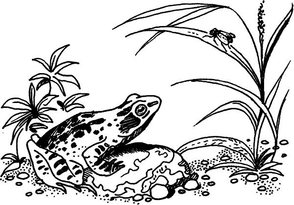 Загадки остались - i_012.png