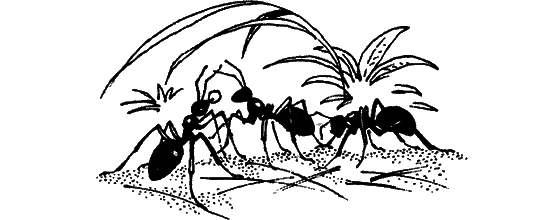 Загадки остались - i_013.png