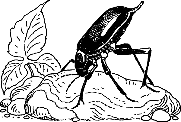 Загадки остались - i_016.png