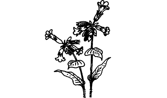 Загадки остались - i_019.png