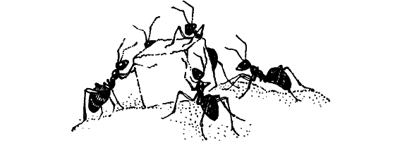 Загадки остались - i_021.png