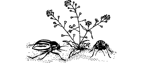 Загадки остались - i_023.png