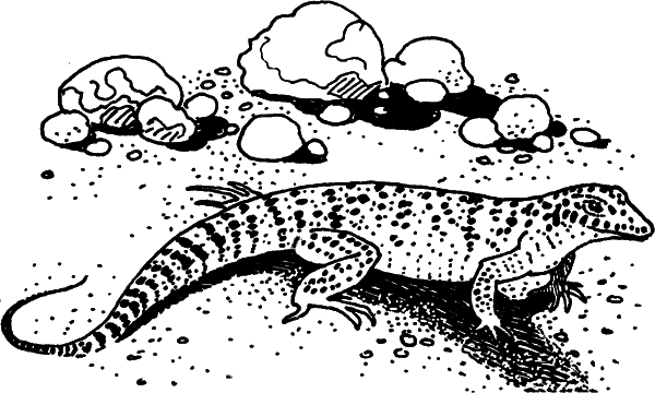 Загадки остались - i_024.png