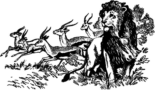 Загадки остались - i_027.png