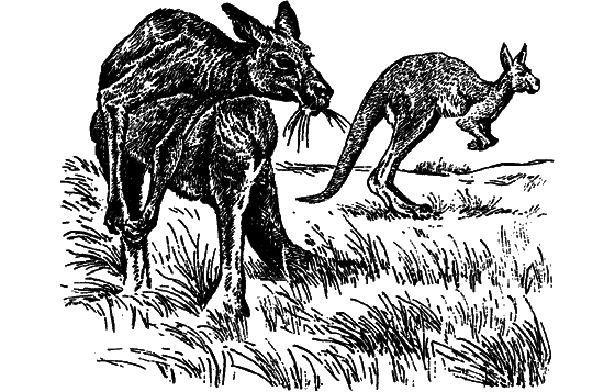 Загадки остались - i_028.png