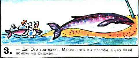 Новые приключения матроса Кошкина на шхуне «Удача» - mkosh8_3.jpg