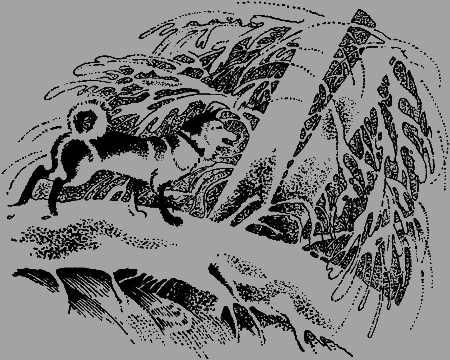 Антери, сын Лапландии - img15.png