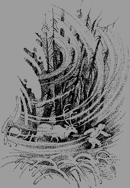 Антери, сын Лапландии - img22.png