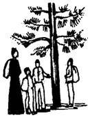 Куда пропали снегири? - _20.jpg