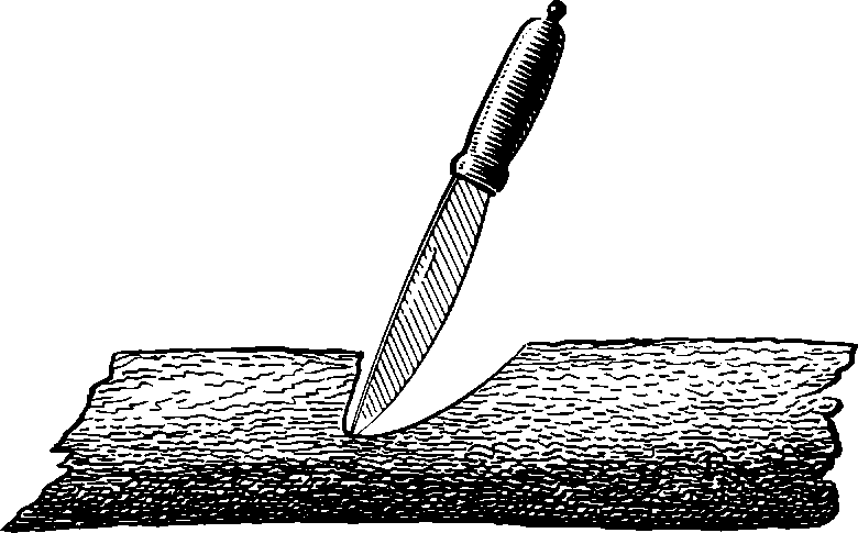 Записки охотника Восточной Сибири - i_008.png