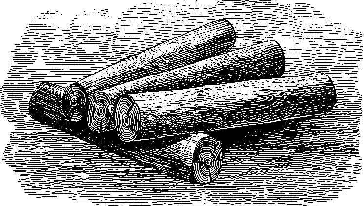 Записки охотника Восточной Сибири - i_010.png