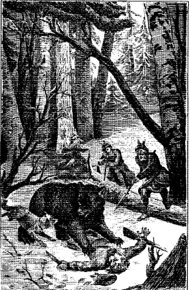 Записки охотника Восточной Сибири - i_011.png