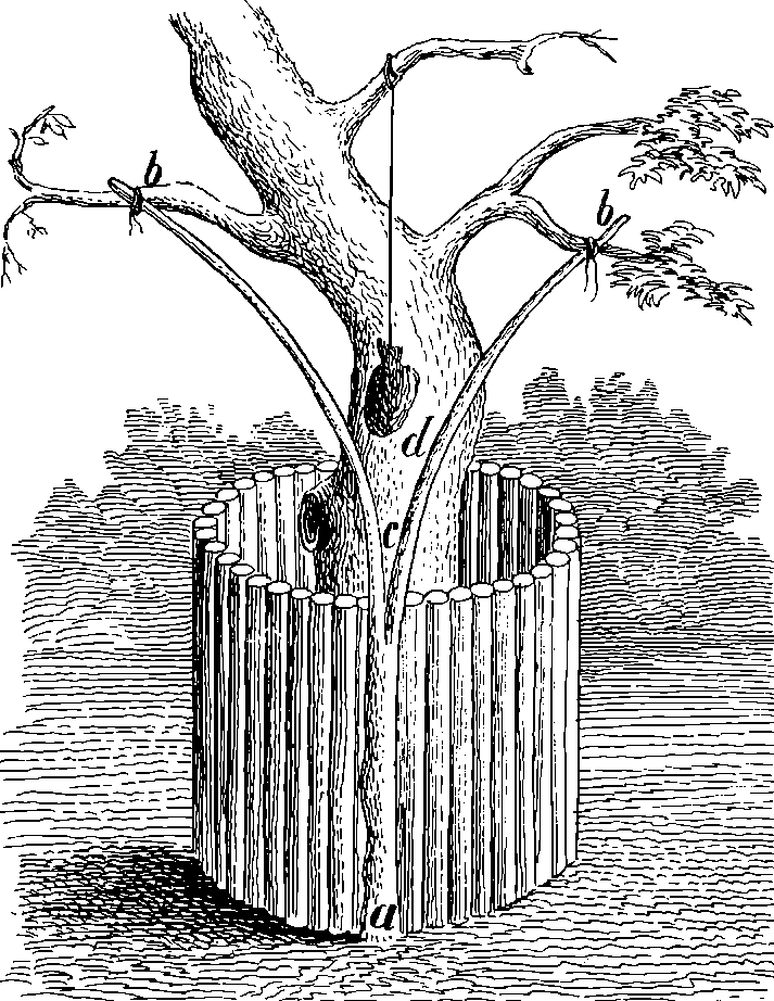 Записки охотника Восточной Сибири - i_013.png