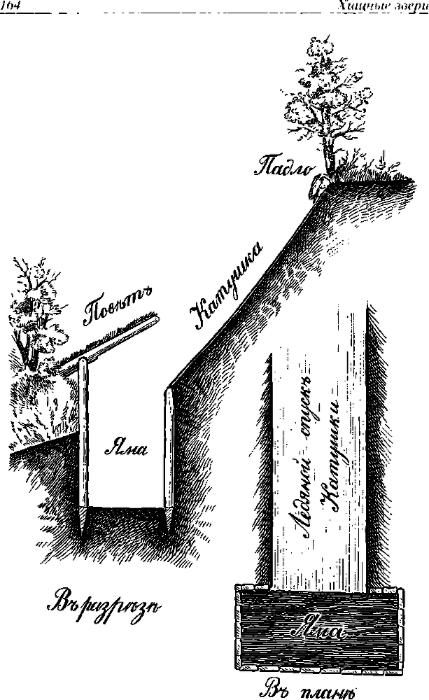 Записки охотника Восточной Сибири - i_017.png