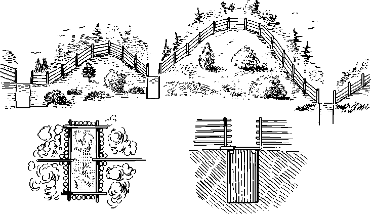 Записки охотника Восточной Сибири - i_022.png