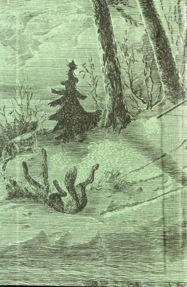 Записки охотника Восточной Сибири - i_027.jpg