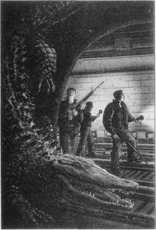 Дикие карты - pict08.jpg