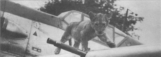 Messerschmitt Bf 109 часть 2 - pic_61.jpg