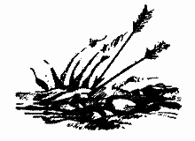 Айвенго - i_063.png