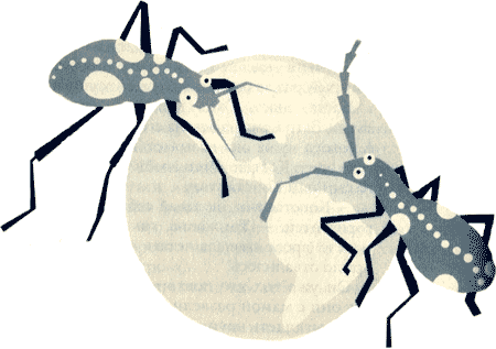 Большое сочинение про бабушку - img18.png