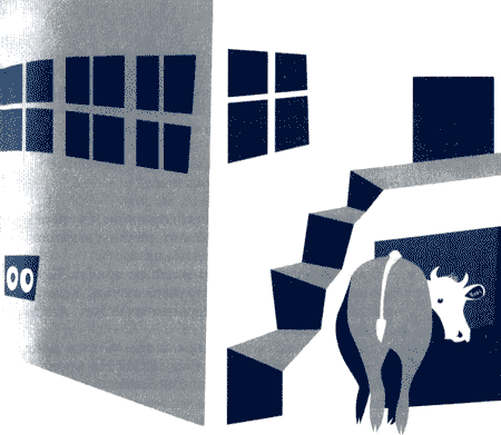 Большое сочинение про бабушку - img22.png